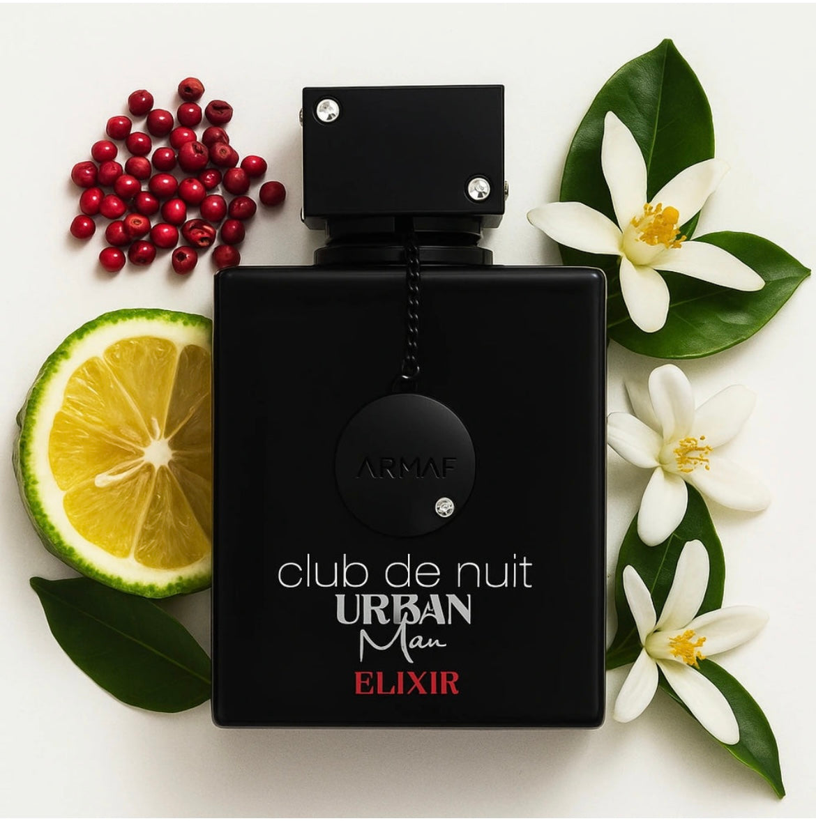 Club de nuit elixir
